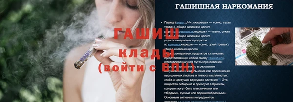 гашик Ладушкин