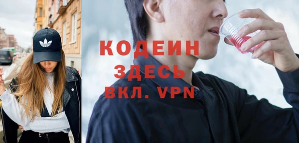 молекула духа Лабытнанги