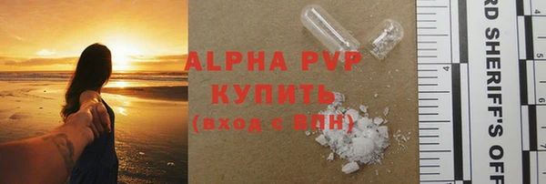 гашик Ладушкин