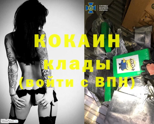 молекула духа Лабытнанги