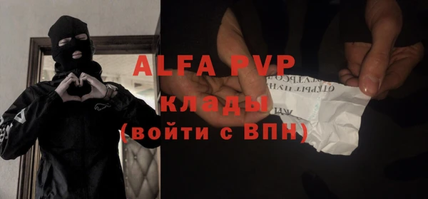 гашик Ладушкин