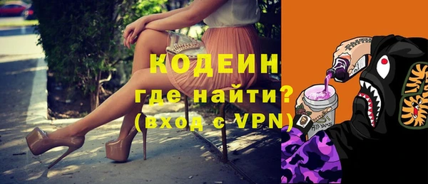 гашик Ладушкин