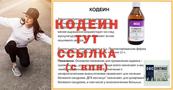 молекула духа Лабытнанги