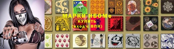 молекула духа Лабытнанги