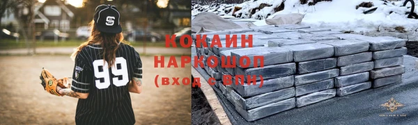 молекула духа Лабытнанги