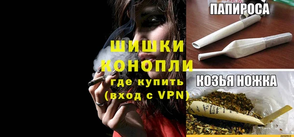 прущий лед Лагань