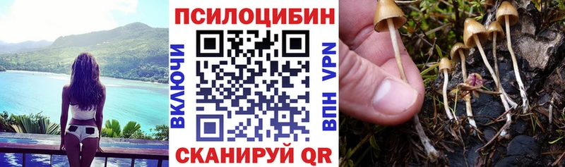Галлюциногенные грибы Magic Shrooms  Купить  Ростов-на-Дону 